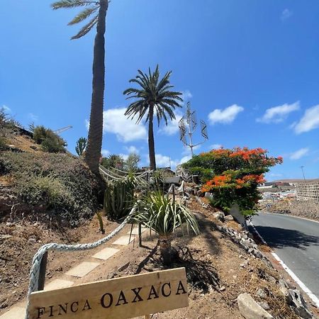 Finca Oaxaca - Casa Iguana Agaete  Dış mekan fotoğraf